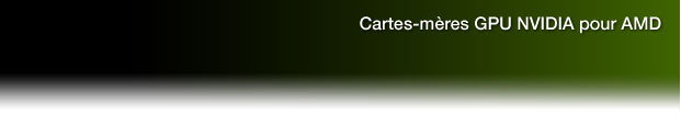 Cartes-mères GPU NVIDIA pour AMD