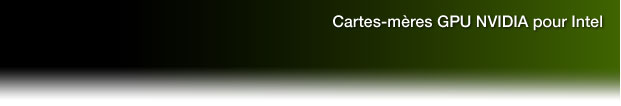 Cartes-mères GPU NVIDIA pour Intel