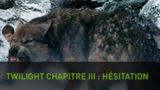 Twilight chapitre III : Hésitation