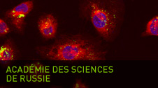 Académie des sciences de Russie
