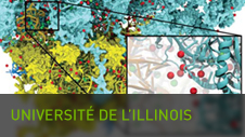 Université de l'Illinoisinois