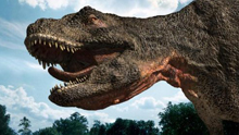 NVIDIA mental ray
