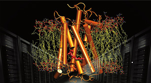 Molecular Dynamics SymCluster test drive