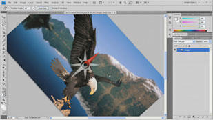 Image Processing