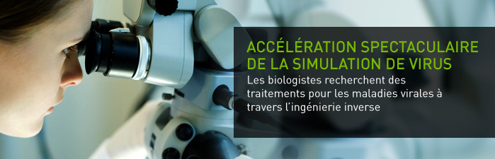 Accélération spectaculaire de la simulation de virus